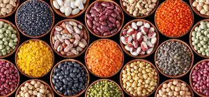 Agriculture Products